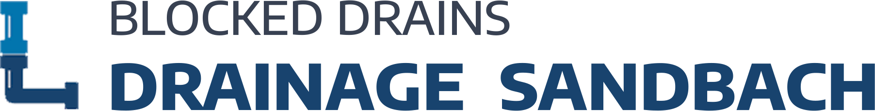 website logo
